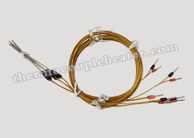 Kapton 케이블을 가진 미터 유형 K J 뜨거운 주자에 의하여 주조되는 전환 열전대 RTD