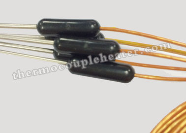 Kapton 케이블을 가진 미터 유형 K J 뜨거운 주자에 의하여 주조되는 전환 열전대 RTD