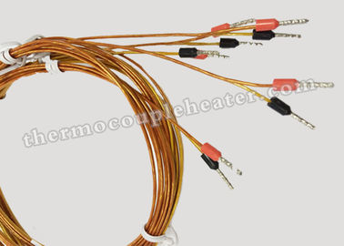 Kapton 케이블을 가진 미터 유형 K J 뜨거운 주자에 의하여 주조되는 전환 열전대 RTD