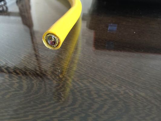 K에게 단 하나 쌍 연장 급료 열전대 철사/고열 열전대 철사를 타자를 치십시오